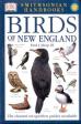 Birds of New England