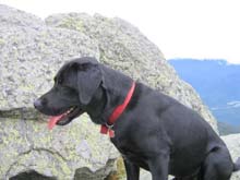 Tessa on Mt. Madison (photo by Mark Malnati)