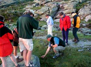 AMC naturalist Dave identifying plant species (photo by James Horner)
