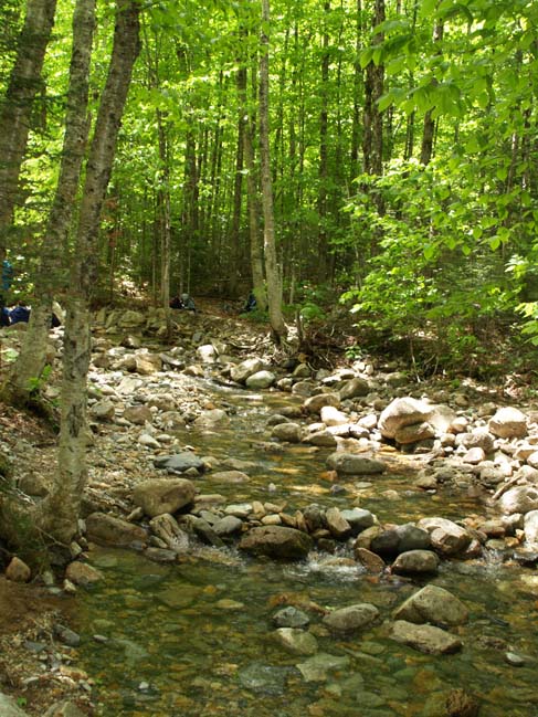 Brook (photo by Webmaster)