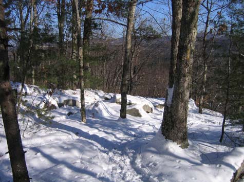 Trail (photo by Mark Malnati)