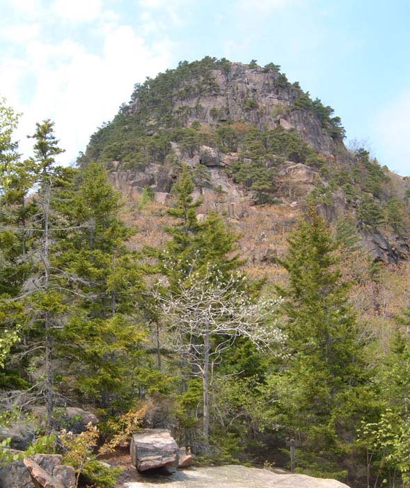 The Beehive (photo by Chip Lary)