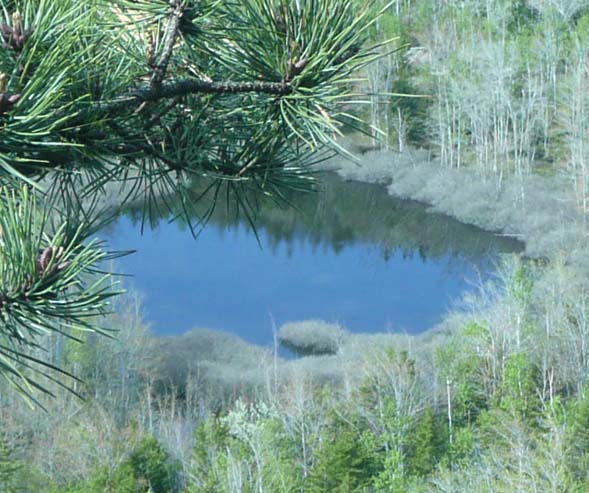 Kief Pond (photo by Chip Lary)