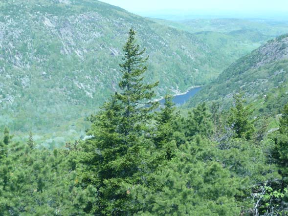 Dorr Mtn. and The Tarn (photo by Chip Lary)