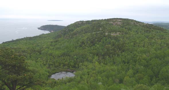 Kief Pond and Gorham Mtn. with Otter Point to the left, as seen from Beehive Trail (photo by Webmaster)