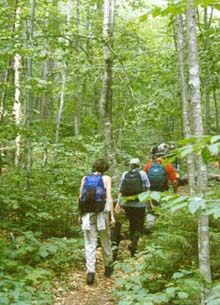 Trail to Big Rock Cave (photo by Sal Silvestre)