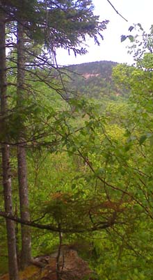 View (photo by Bill Mahony)