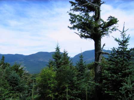 View (photo by James Horner)