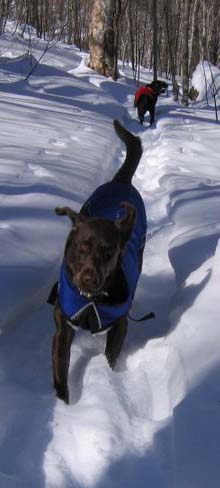 Quincy and Tessa (photo by Mark Malnati)