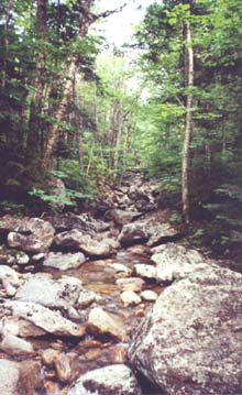 Coppermine Brook (photo by Webmaster)