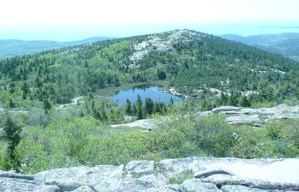 The Featherbed from Cadillac South Ridge Trail (photo by Chip Lary)
