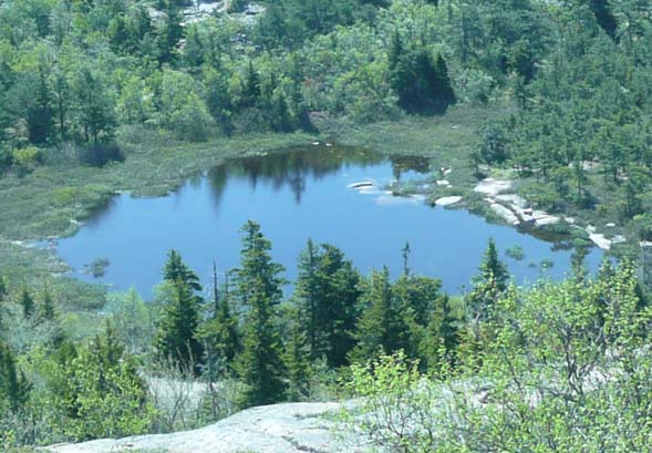 The Featherbed (photo by Chip Lary)
