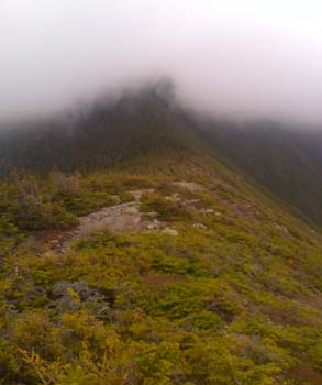 The summit of Mount Carrigain cloaked in clouds (photo by Bill Mahony)