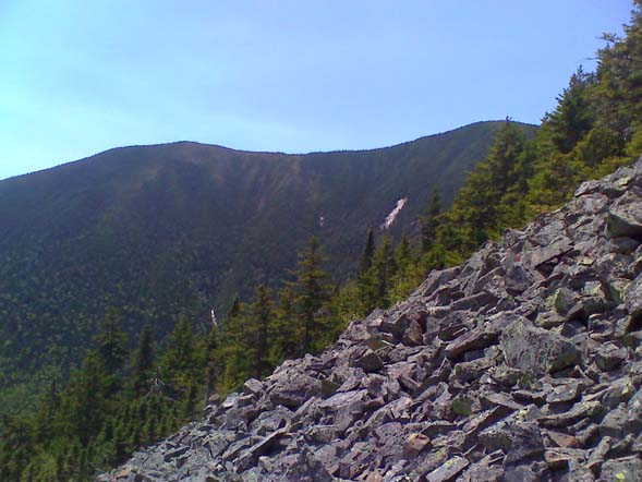 Signal Ridge from a talus slope beneath Vose Spur (photo by Bill Mahony)