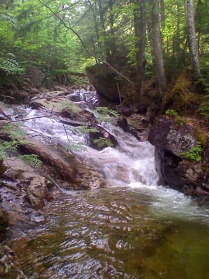 Cascades on Whiteface Brook next to Signal Ridge Trail (photo by Bill Mahony)