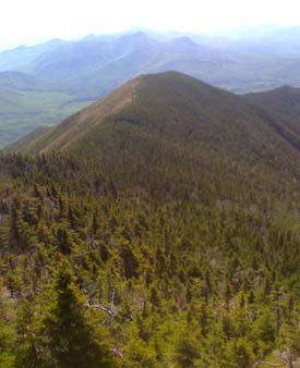 View of Signal Ridge and beyond (photo by Bill Mahony)