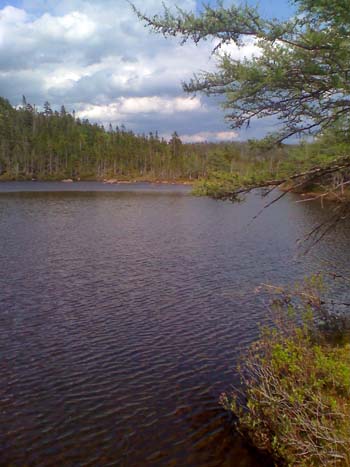 Duck Pond (photo by Bill Mahony)