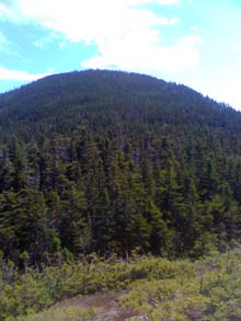 Mount Anderson (photo by Bill Mahony)