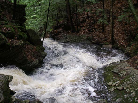 Wilde Brook running through Chesterfield Gorge (photo by Jeff Littlejohn)