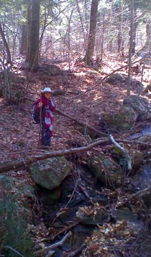Hiking along a brook (photo by Bill Mahony)