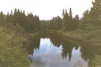 From the bench overlooking a placid section of Wells River (photo by Webmaster)