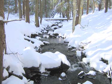 Snowy brook in Deering Sanctuary (photo by Mark Malnati)