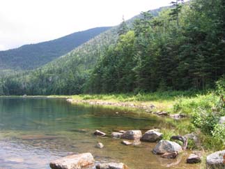 East Pond (photo by Mark Malnati)