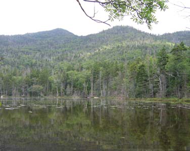 Little East Pond with Scar Ridge above it (photo by Mark Malnati)