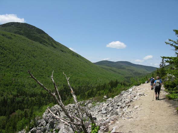 Zealand Notch and Ethan Pond Trail.  Zeacliff is the knob to the left and Mount Hale is in the background. (photo by Mark Malnati)