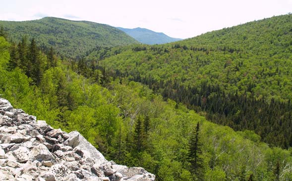 Zealand Notch seen from Ethan Pond Trail (photo by Webmaster)