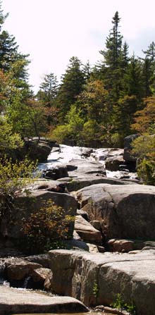 Whitewall Brook (photo by Webmaster)