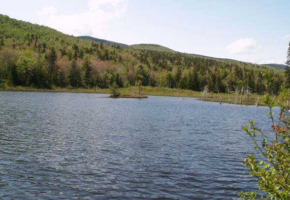 Zealand Pond (photo by Webmaster)