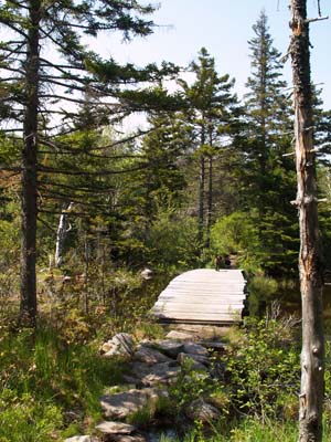 Footbridge on Zealand Trail (photo by Webmaster)