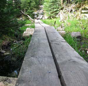 Boardwalk on Ethan Pond Trail (photo by Mark Malnati)