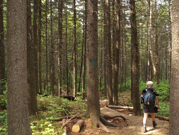 Deb on Zealand Trail (photo by Webmaster)