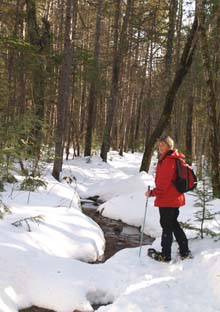 Patty on the puddle-filled section of Lower Nanamocomuck Ski Trail (photo by Webmaster)