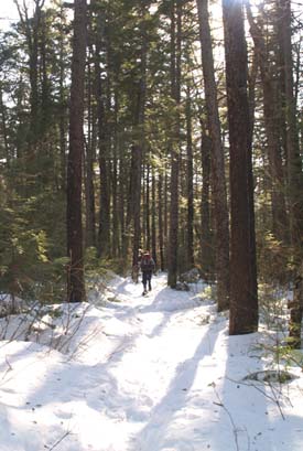 Kathy on Lower Nanamocomuck Ski Trail (photo by Webmaster)