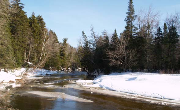 Swift River and animal tracks (photo by Webmaster)
