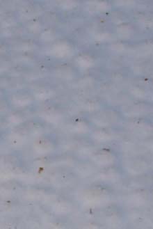Dimpled snow (photo by Webmaster)