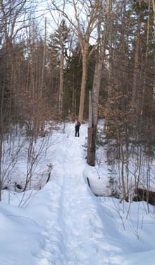 Bridge and Patty on Lower Nanamocomuck Ski Trail (photo by Webmaster)