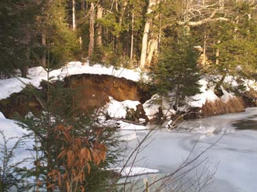 Undercut embankment of the Swift River (photo by Webmaster)