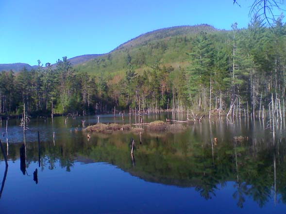 Beaver Pond (photo by Bill Mahony)