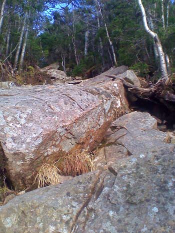Boulders (photo by Bill Mahony)