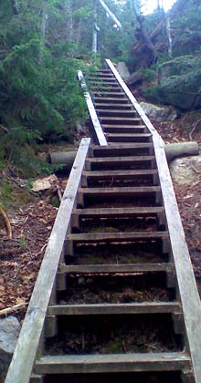 Ladders on the steep part of Osseo Trail (photo by Bill Mahony)
