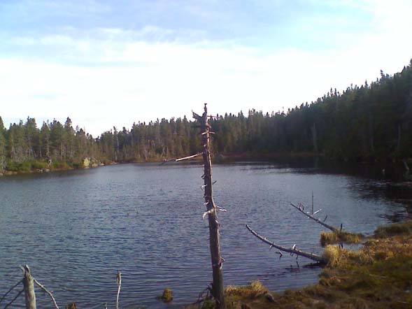 Garfield Pond (photo by Bill Mahony)