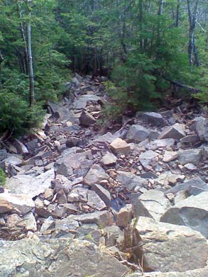 Rocks (photo by Bill Mahony)