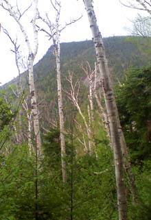 Whaleback Mountain (photo by Bill Mahony)