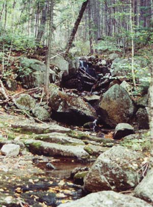 Hale Brook (photo by Webmaster)