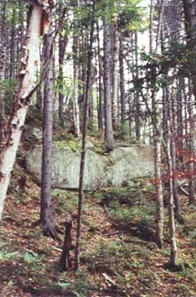 Boulder (photo by Webmaster)