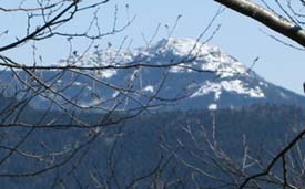 View (photo by Mark Malnati)